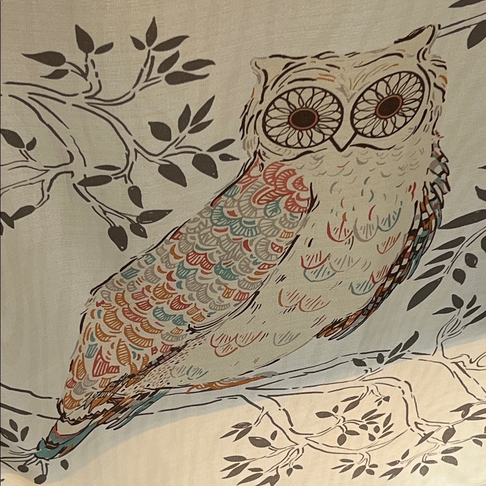 Owl Print Shower Curtain in Cream and Coral - Like New